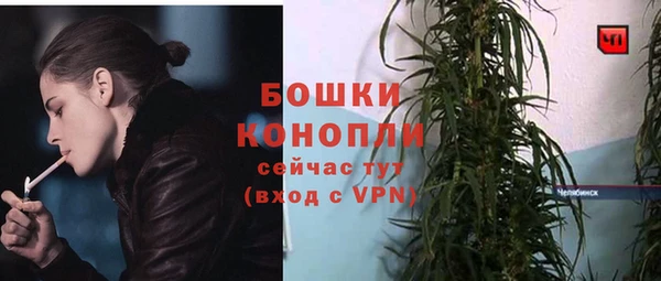 прущие грибы Лиски