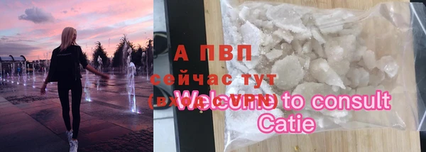 прущие грибы Лиски
