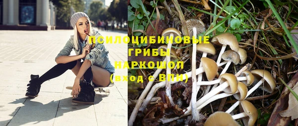 дмт Лихославль