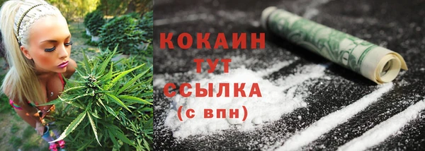 скорость Липки