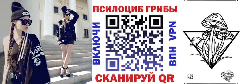 Галлюциногенные грибы Psilocybe  Купить закладки  Рудня 